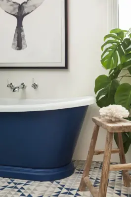Amelia McNeil Interior Design