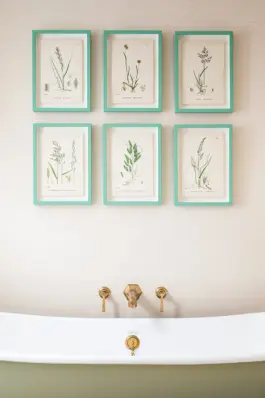 Amelia McNeil Interior Design