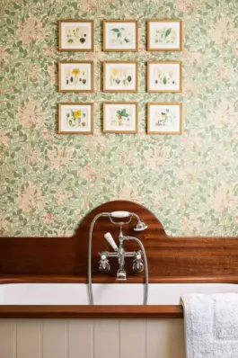 Amelia McNeil Interior Design
